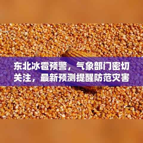 东北冰雹预警,气象部门密切关注,最新预测提醒防范灾害