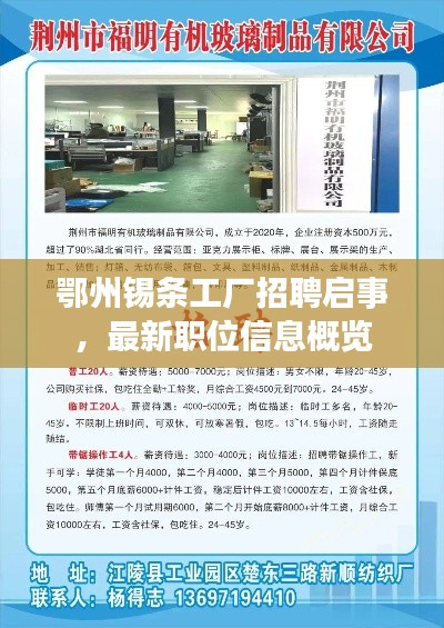 鄂州锡条工厂招聘启事,最新职位信息概览