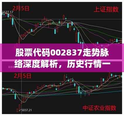 股票代码002837走势脉络深度解析,历史行情一网打尽