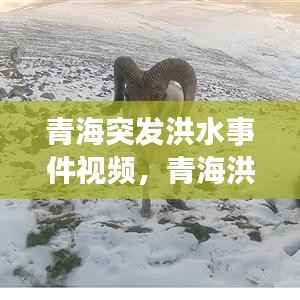 青海突发洪水事件视频,青海洪涝灾害警报
