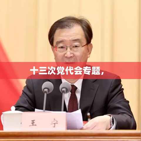 十三次党代会专题,