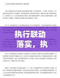 执行联动 落实,执行联动机制建设存在的问题