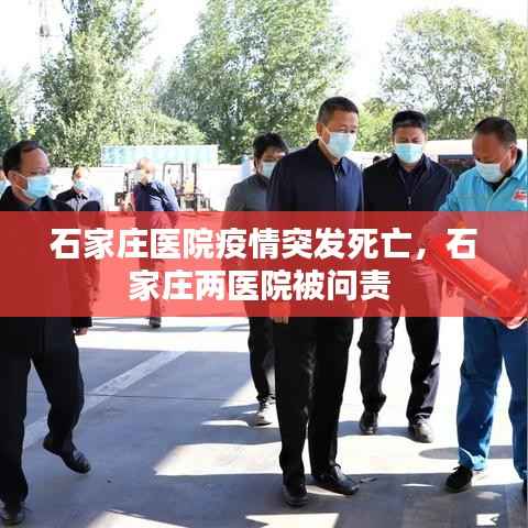 石家庄医院疫情突发死亡,石家庄两医院被问责