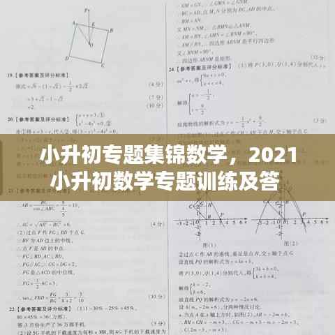 小升初专题集锦数学,2021小升初数学专题训练及答
