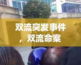 双流突发事件,双流命案