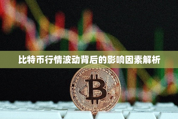 比特币行情波动背后的影响因素解析