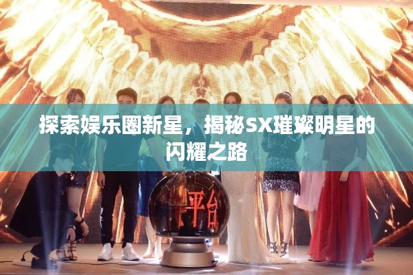 探索娱乐圈新星,揭秘SX璀璨明星的闪耀之路