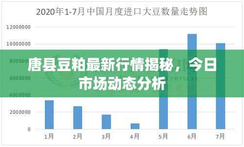 唐县豆粕最新行情揭秘，今日市场动态分析