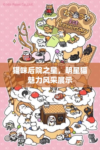 猫咪后院之星，明星猫魅力风采展示